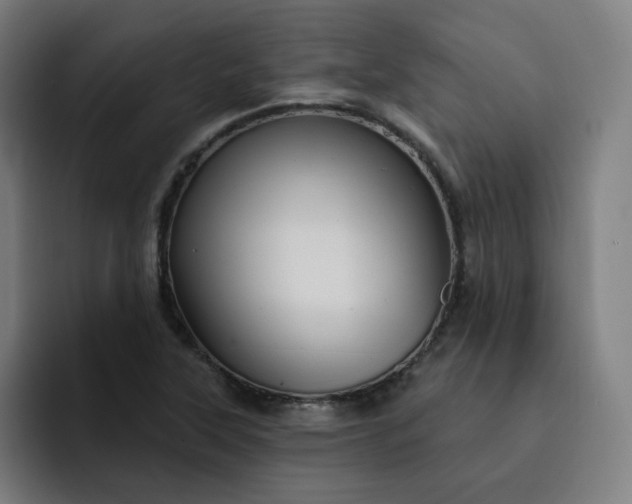 X0000093261315200710101452