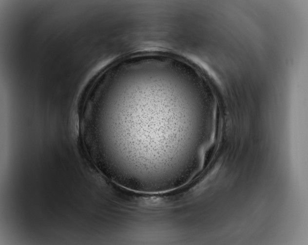 X0000093261317200710101452