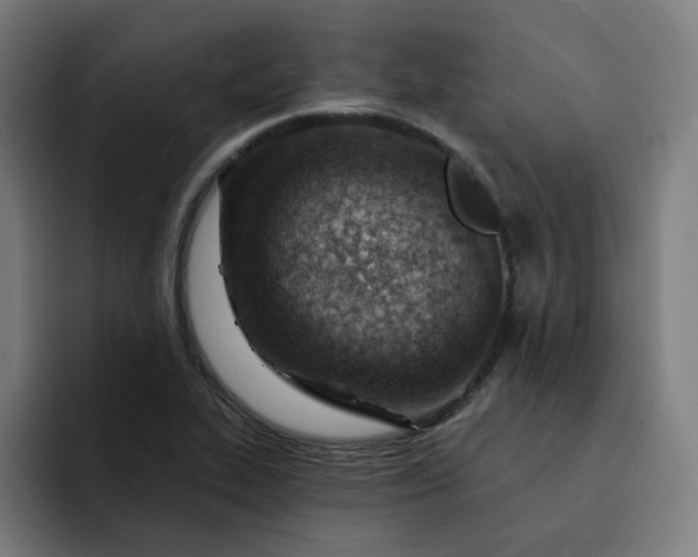 X0000093261319200710101452