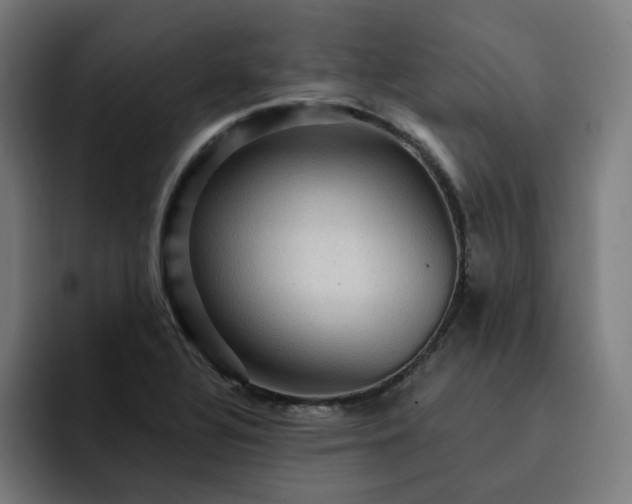 X0000093261320200710101452