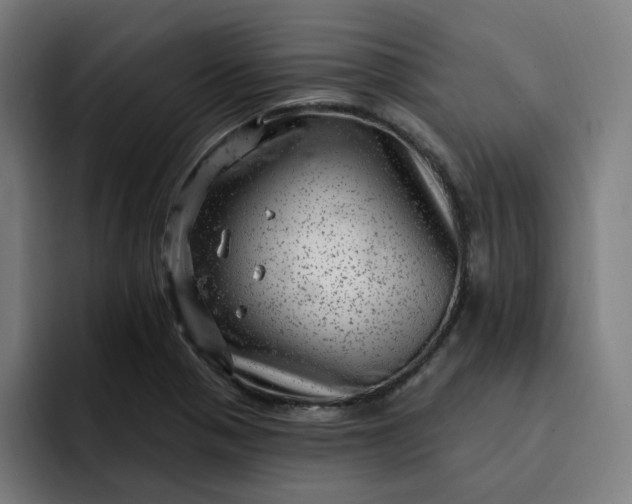 X0000093261321200710101452