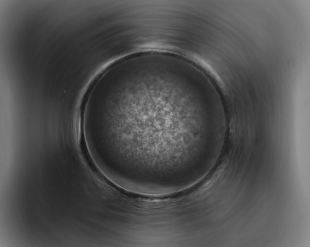 X0000093261323200710101452