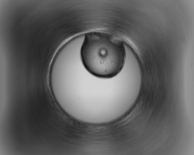 X0000093261324200710101452