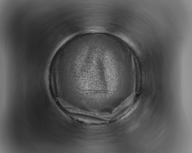 X0000093261325200710101452