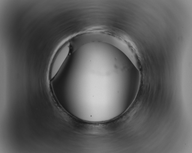 X0000093261328200710101452