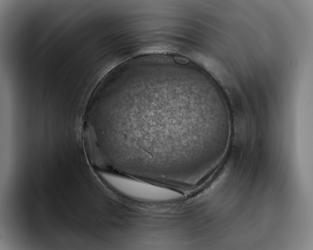 X0000093261329200710101452