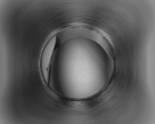 X0000093261330200710101452