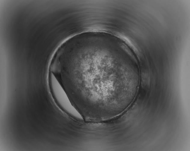 X0000093261331200710101452