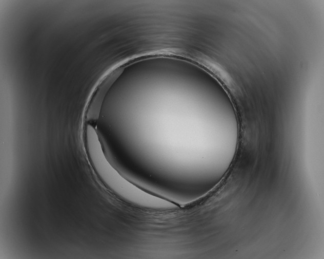 X0000093261332200710101452