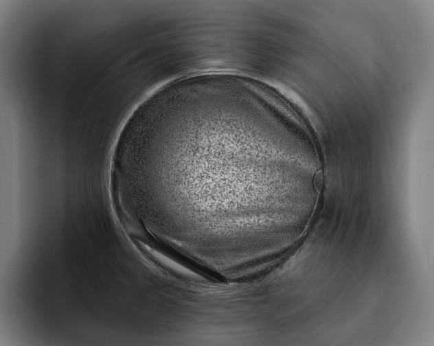 X0000093261333200710101452