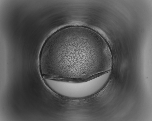 X0000093261335200710101452