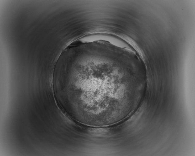 X0000093261337200710101452