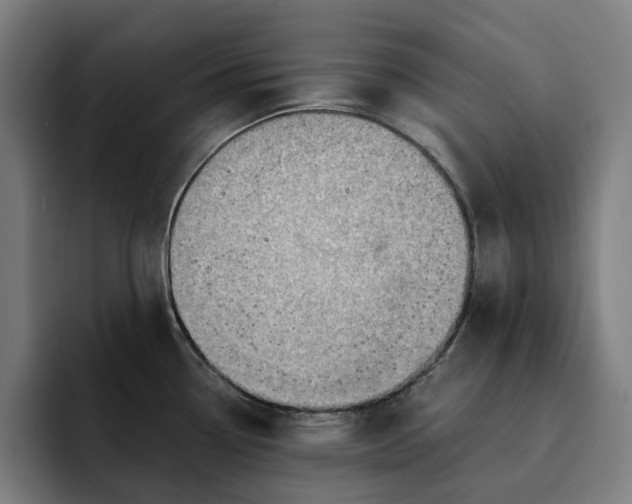 X0000093261338200710101452