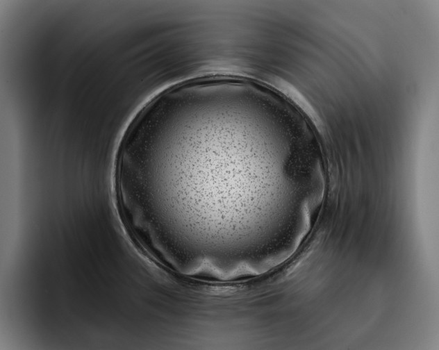 X0000093261339200710101452