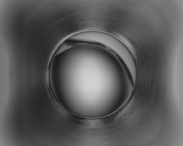 X0000093261340200710101452