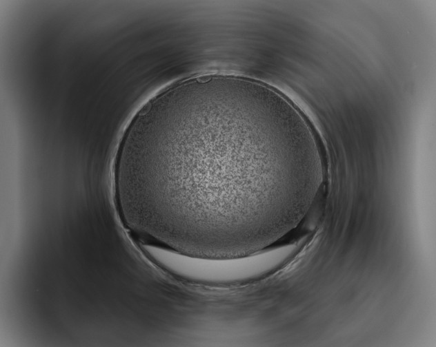 X0000093261341200710101452