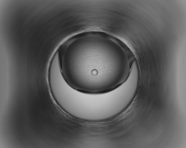 X0000093261342200710101452