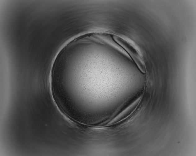 X0000093261343200710101452