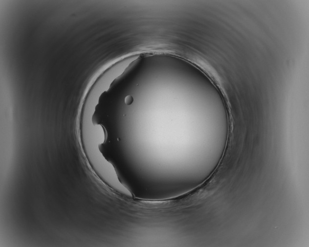 X0000093261344200710101452