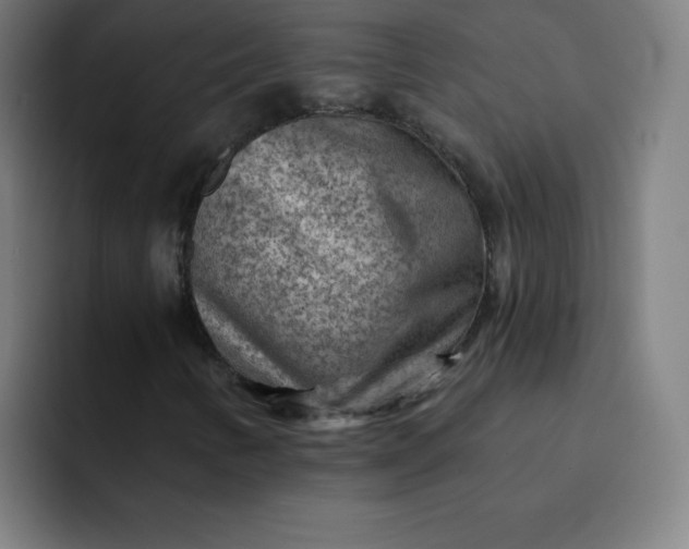 X0000093261346200710101451