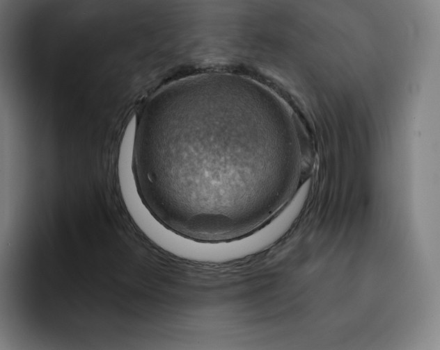 X0000093261348200710101451