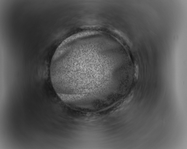 X0000093261350200710101451