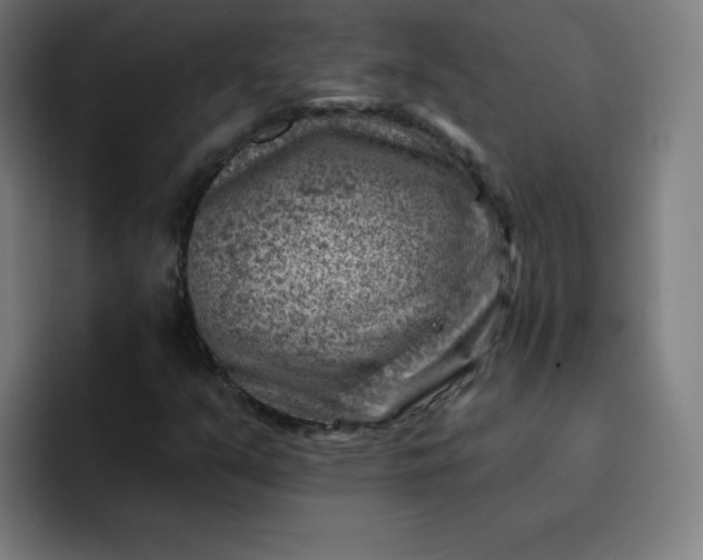 X0000093261351200710101451