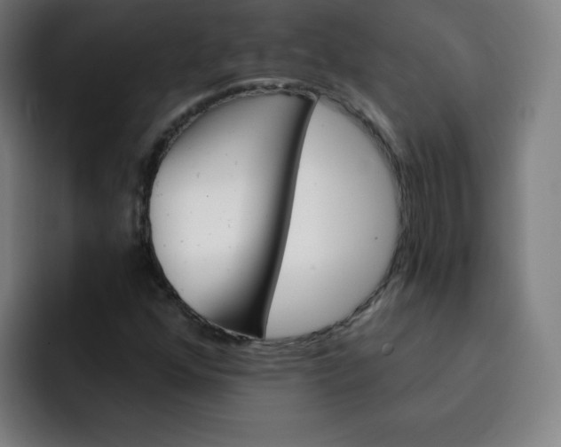 X0000093261352200710101451