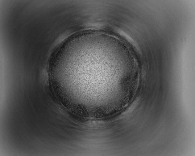 X0000093261354200710101451