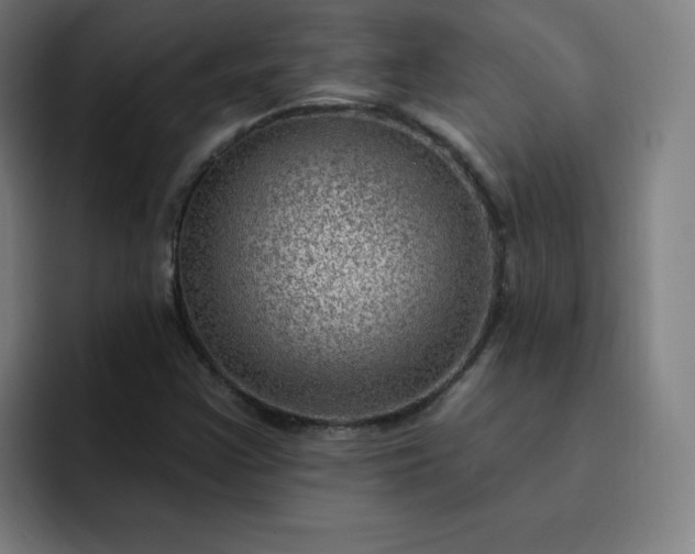 X0000093261355200710101451