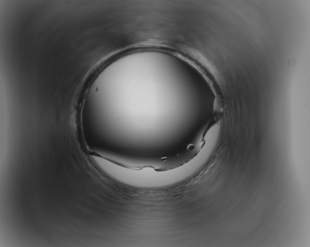 X0000093261356200710101451