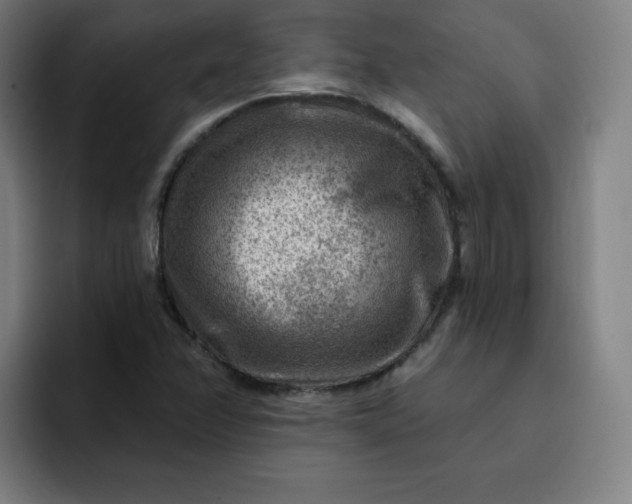 X0000093261358200710101451