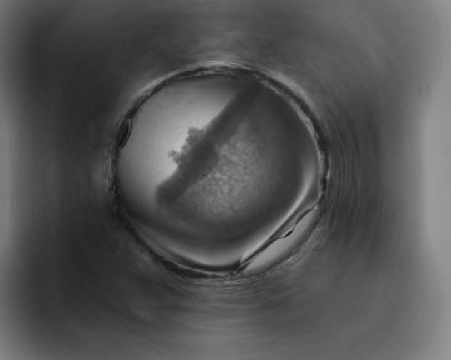 X0000093261359200710101451