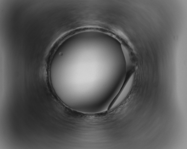 X0000093261360200710101451