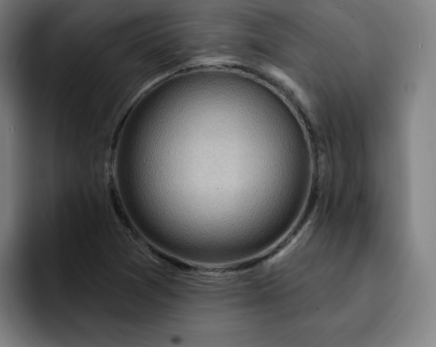 X0000093261361200710101451