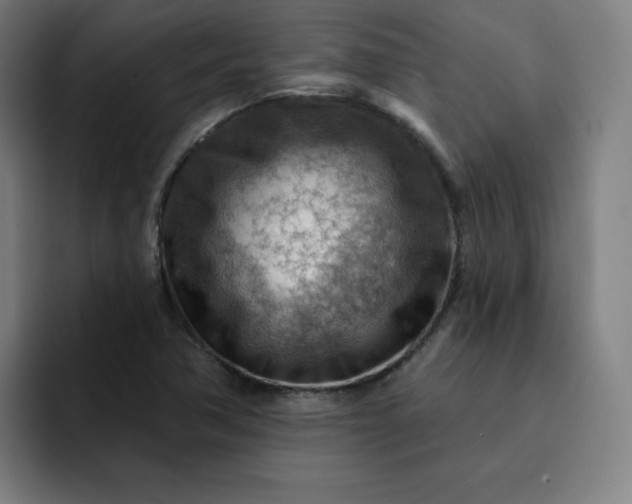 X0000093261362200710101451