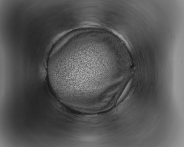 X0000093261363200710101451