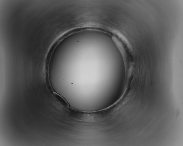 X0000093261364200710101451