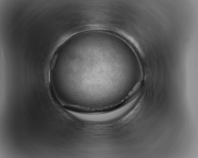 X0000093261365200710101451