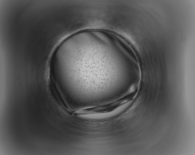 X0000093261366200710101451