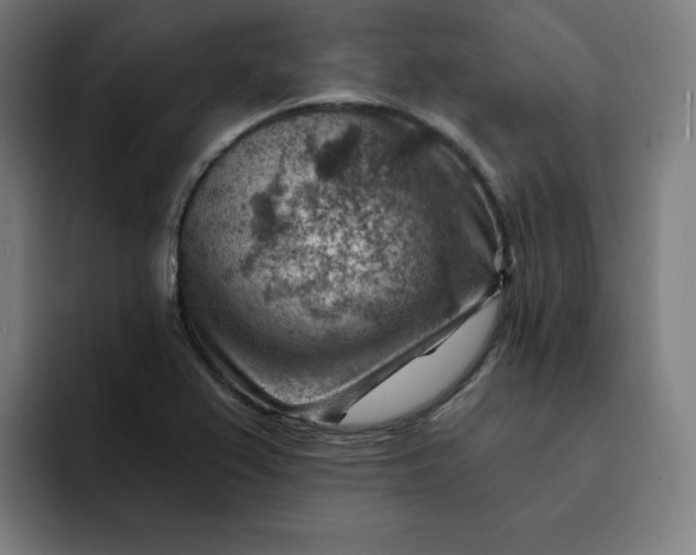 X0000093261367200710101451