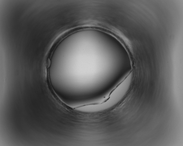 X0000093261368200710101451