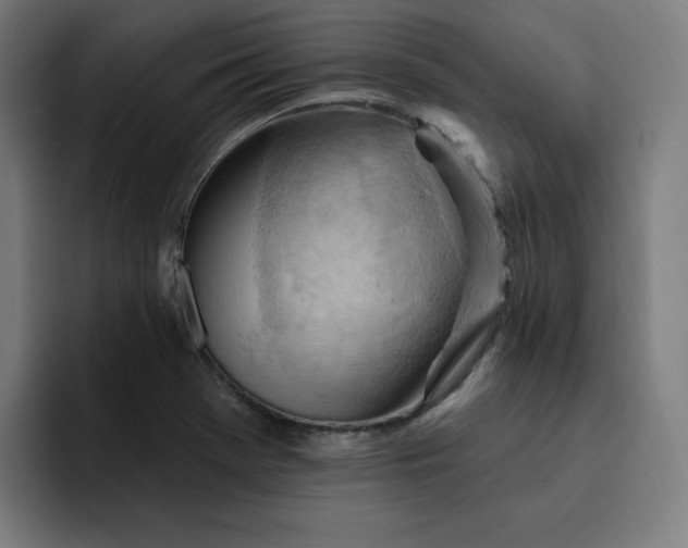 X0000093261369200710101451