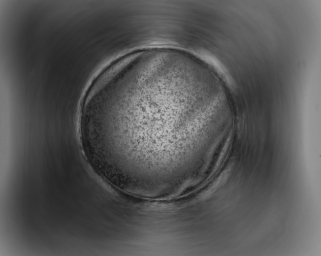 X0000093261374200710101451