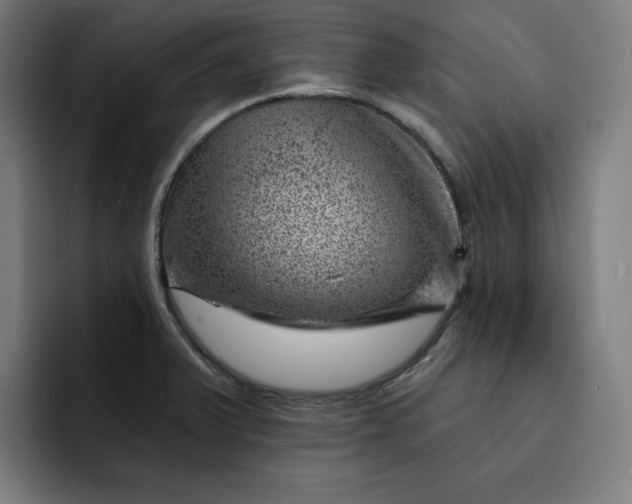 X0000093261375200710101451