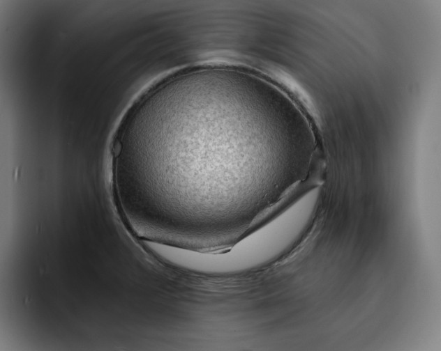 X0000093261376200710101451