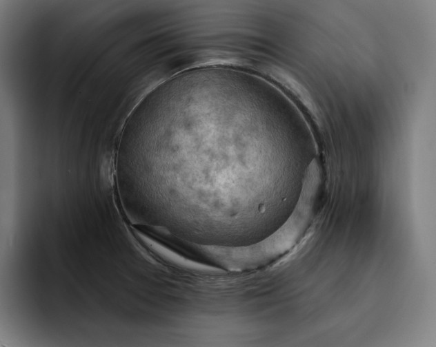 X0000093261377200710101451