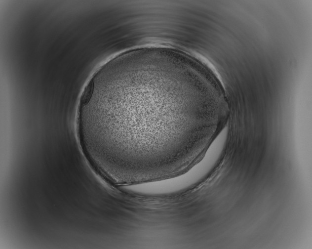 X0000093261379200710101451