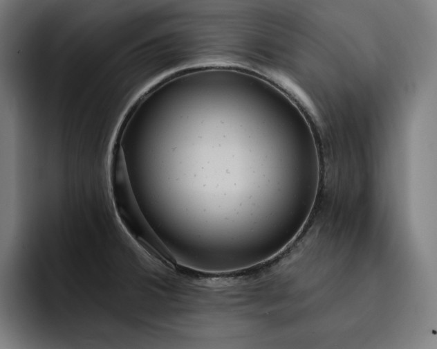 X0000093261380200710101451