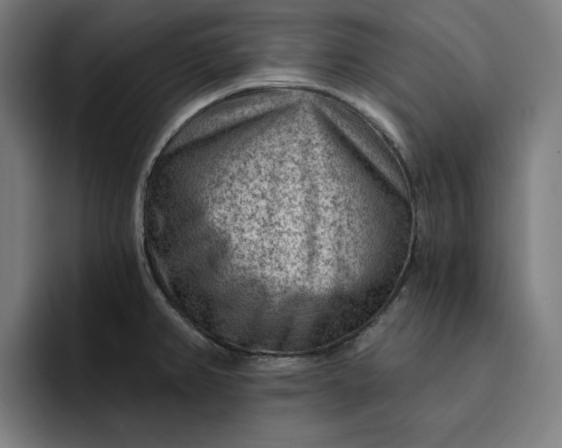 X0000093261382200710101451